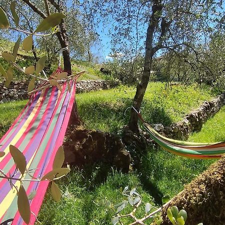 Penzion Ca Giulietto Antico Casale In Lunigiana Pontremoli Exteriér fotografie