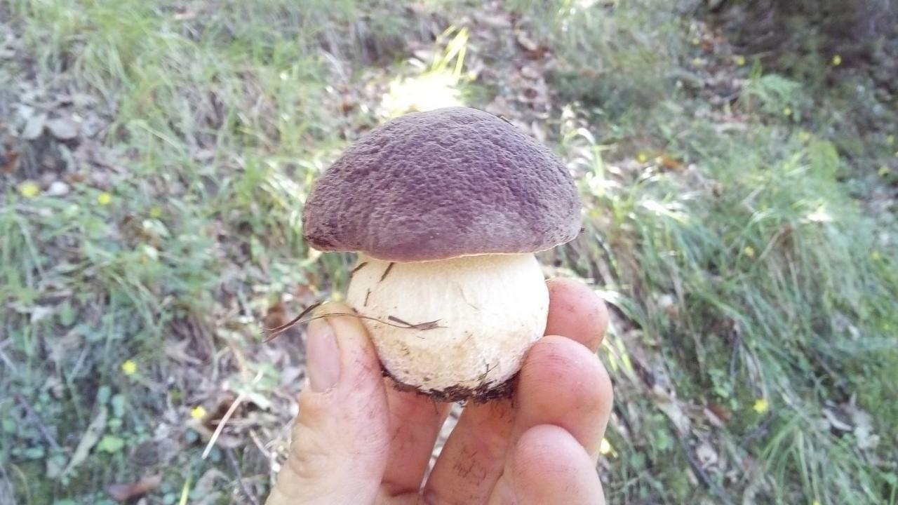 Penzion Ca Giulietto Antico Casale In Lunigiana Pontremoli Exteriér fotografie